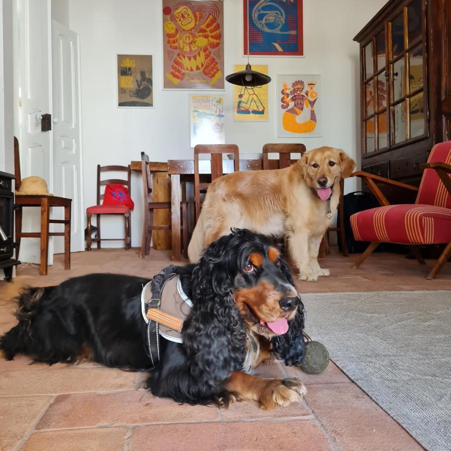 Villa Casa Magana Em Grândola Esterno foto